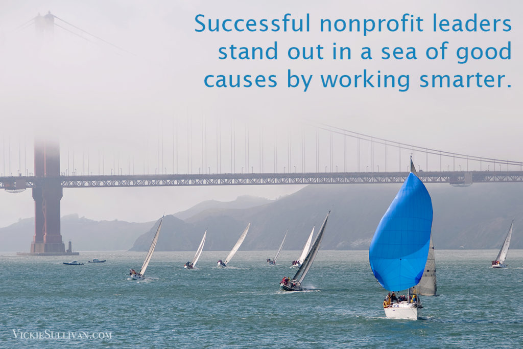 Successful nonprofit leaders stand out in a sea of good causes by working smarter.
