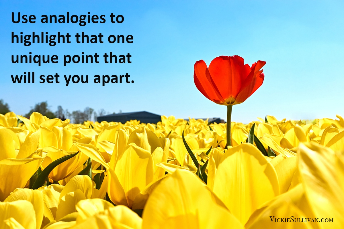 Use analogies to highlight that one unique point that will set you apart.