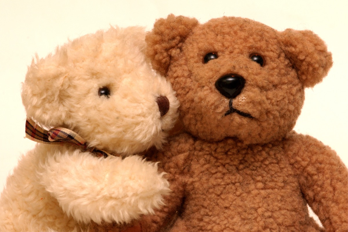 A white teddy bear next to a brown teddy bear