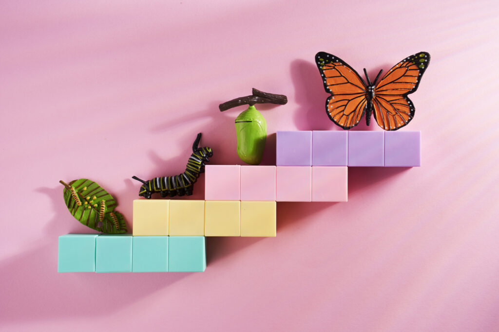Progression of Caterpillar into butterfly